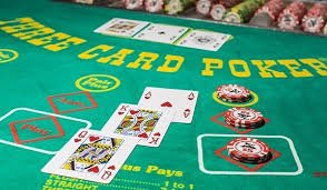 Shio Game live dealer table showing zodiac animal symbols and betting layout